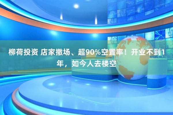 柳荷投资 店家撤场、超90%空置率！开业不到1年，如今人去楼空