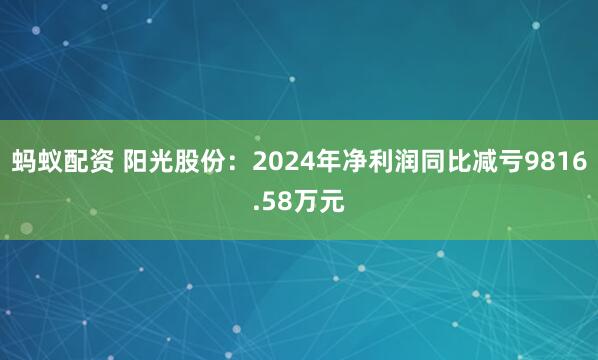 蚂蚁配资 阳光股份：2024年净利润同比减亏9816.58万元