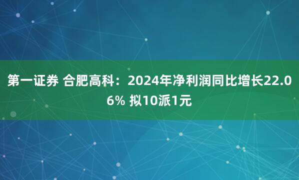 第一证券 合肥高科：2024年净利润同比增长22.06% 拟10派1元