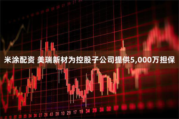 米涂配资 美瑞新材为控股子公司提供5,000万担保