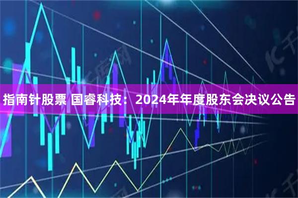 指南针股票 国睿科技：2024年年度股东会决议公告
