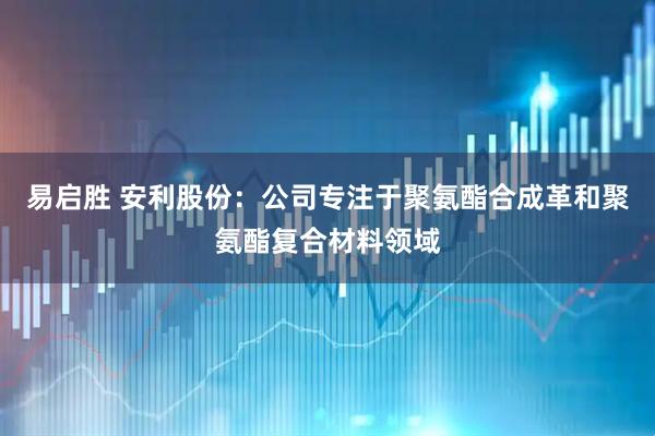 易启胜 安利股份：公司专注于聚氨酯合成革和聚氨酯复合材料领域