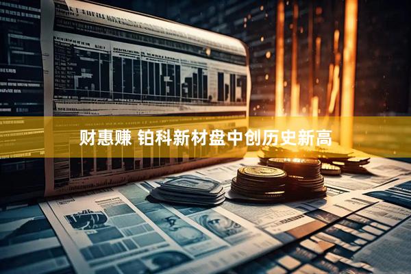财惠赚 铂科新材盘中创历史新高